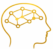 Brain