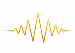 EEG